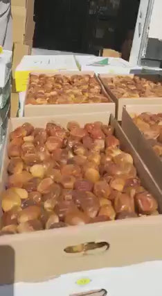 رطب  سكري القصيم السعودي